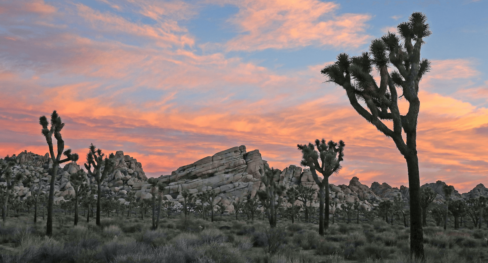 5 National Parks in Southern California - The Ultimate Guide