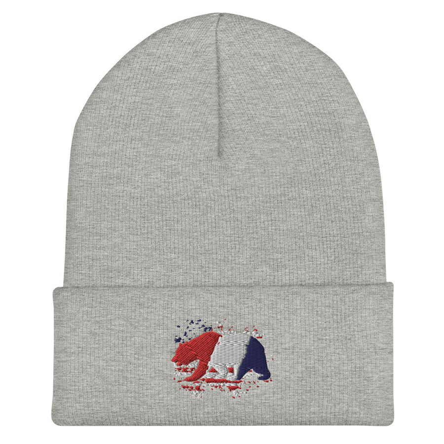 American Flag CA Bear - Beanie